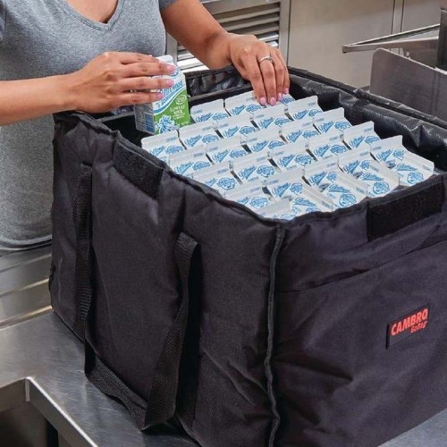 Comprar Bolsa térmica mediana para transporte de pizzas FB273 en Pepebar