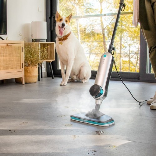 Vaporeta vertical HydroSteam 3030 Active Cecotec Comprar Vaporeta vertical HydroSteam 3030 Active Cecotec en Pepebar