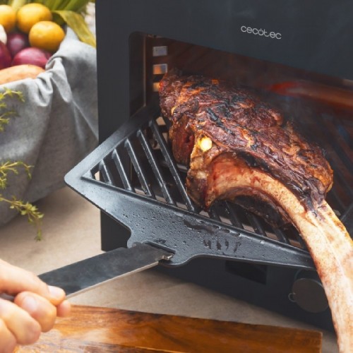 Comprar Grill de alta temperatura Txuletaco 8000 Inferno Cecotec en Pepebar