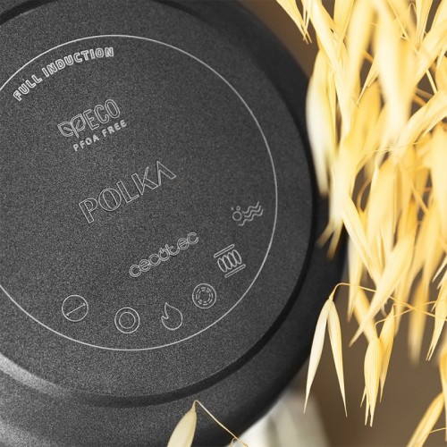 Comprar Olla Polka Excellence 28 Pot Force Cecotec en Pepebar