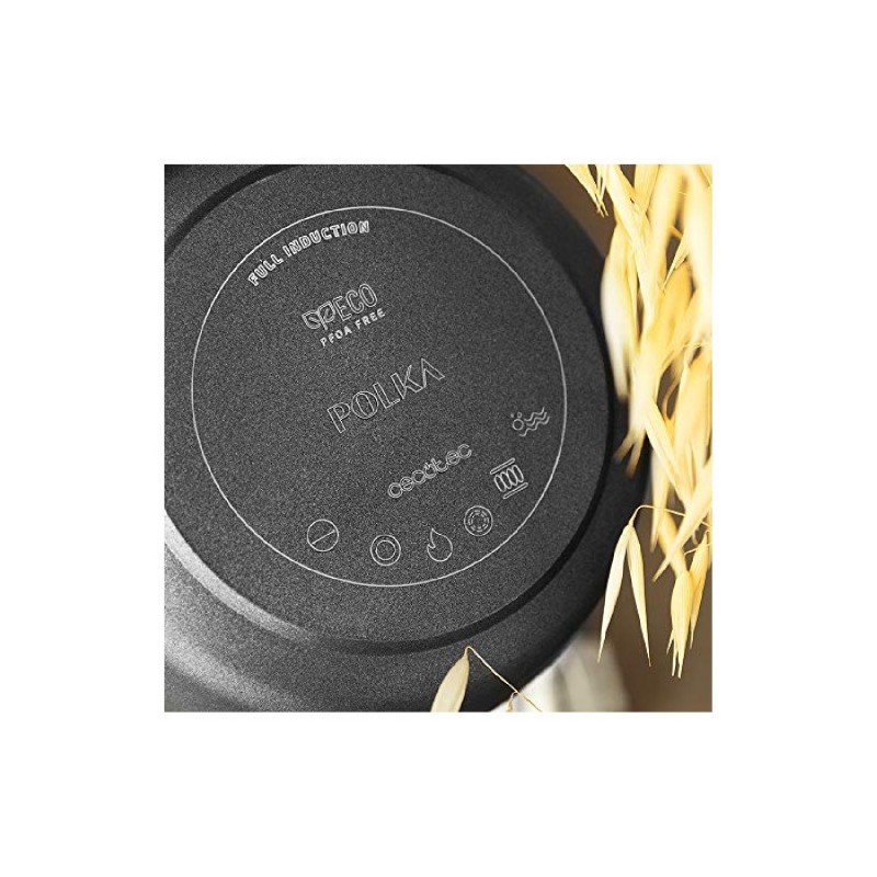 Comprar Sartén Polka Excellence 28 Bucket Force Cecotec en Pepebar