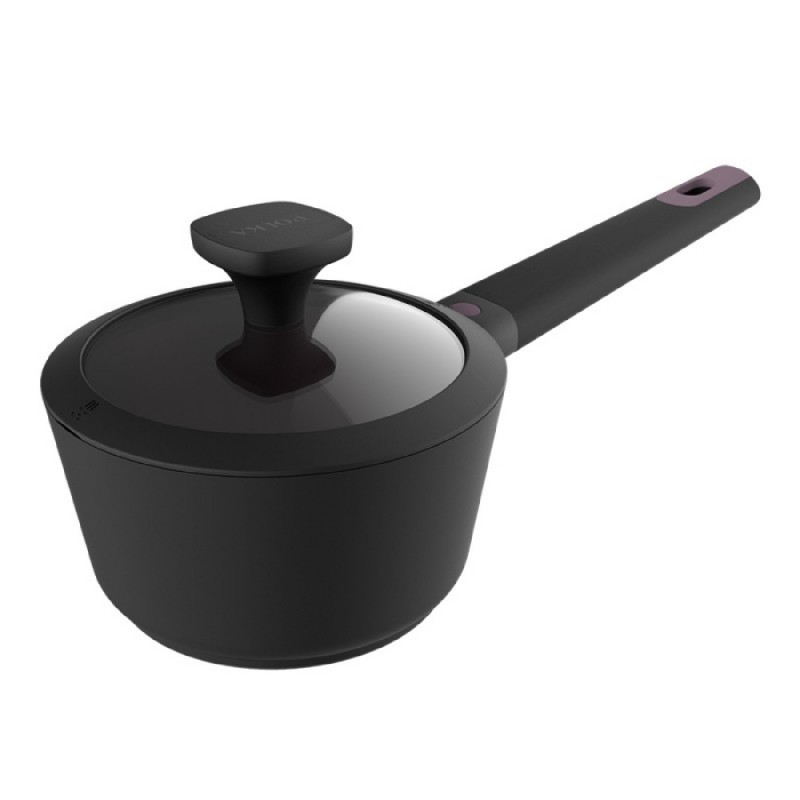 Comprar Cazo Polka Experience 16 Pot Titan Cecotec en Pepebar
