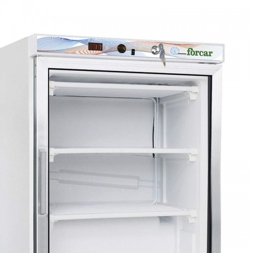 Comprar Mini Armario congelador 130L con puerta de cristal Blanco G-EF200G en Pepebar