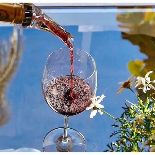 Comprar Aireador de vino mediano CVA014 en Pepebar