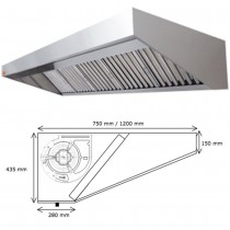 Extractora industrial Eco Plus de pared con motor 250 cm