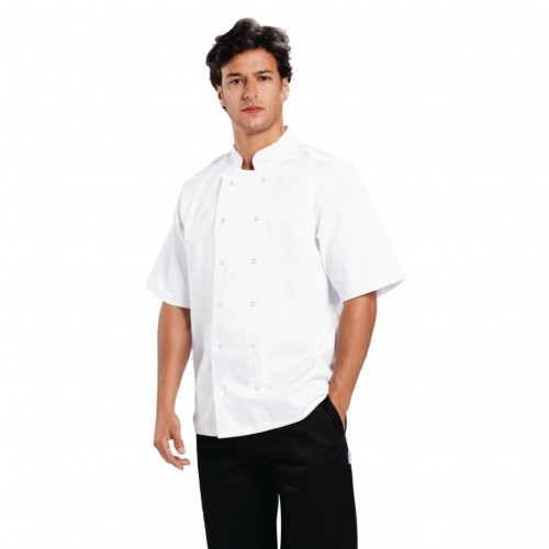 Chaquetilla cocinero manga corta blanca Boston B250-L Comprar Chaquetilla cocinero manga corta blanca Boston B250-L en Pepebar