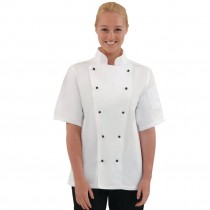 alquiler acampar obispo ▷ ROPA DE COCINA【Precios y Ofertas】|PepeBar.com