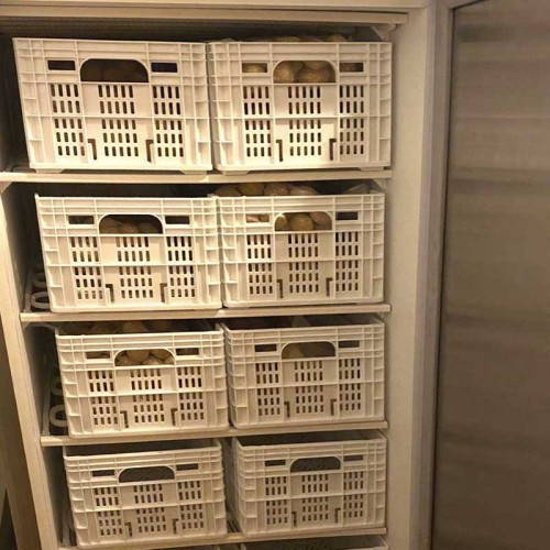 Comprar Armario congelador industrial 600 litros acabado blanco Bóreas GN 2/1 AF600B en Pepebar