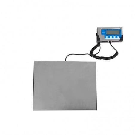Comprar Balanza 60kg Salter DP033 en Pepebar