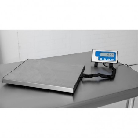 Comprar Balanza 60kg Salter DP033 en Pepebar