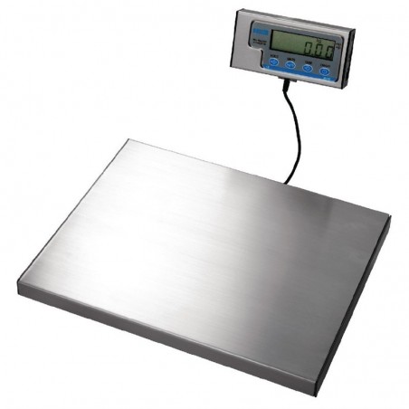 Comprar Balanza 60kg Salter DP033 en Pepebar