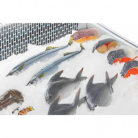 Vitrina refrigerada para Pescado 175 litros Polar G-Serie GE960 Comprar Vitrina refrigerada para Pescado 175 litros Polar G-Serie GE960 en Pepebar