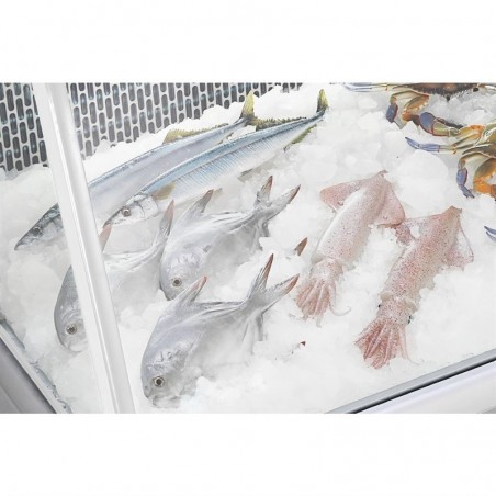 Comprar Vitrina expositora para pescado G-Serie 255 litros Polar GE961 en Pepebar