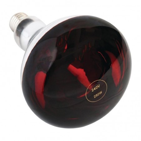 Comprar Bombilla infrarroja E27 250W Buffalo AG570 en Pepebar