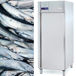 Armarios refrigerados para pescado