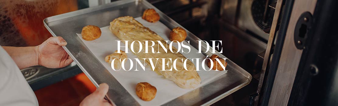 hornos conveccion hosteleria