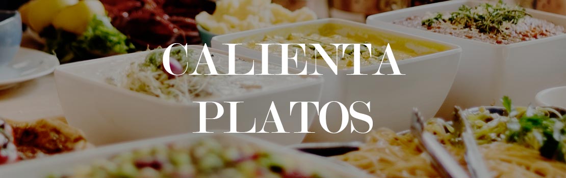 Cómo elegir Calienta platos