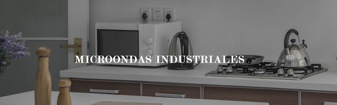 Microondas industrial para hosteleria profesional