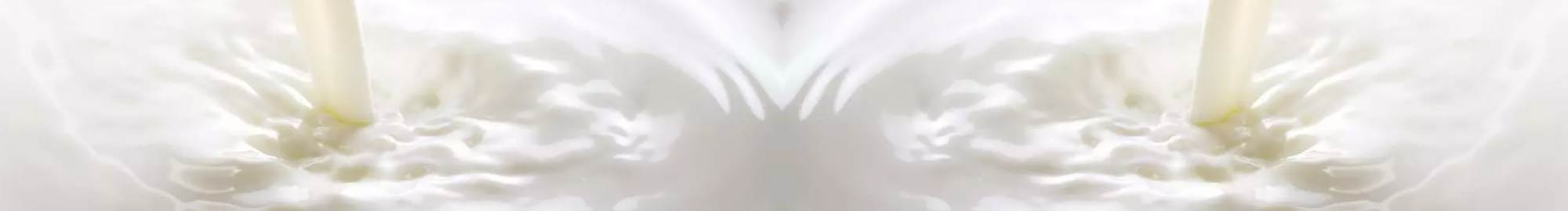 Termos de leche