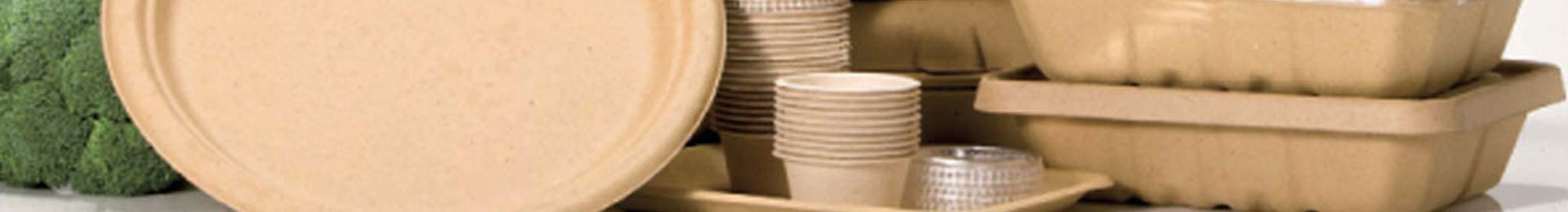 Tarrinas de plástico y biodegradables