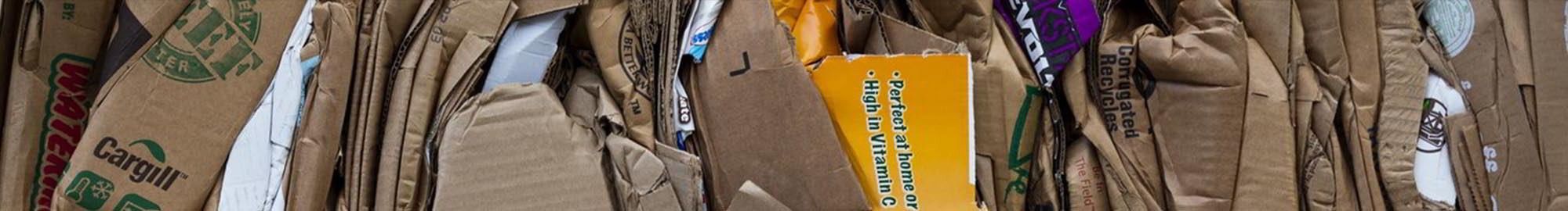 Palillos y pinchos biodegradables