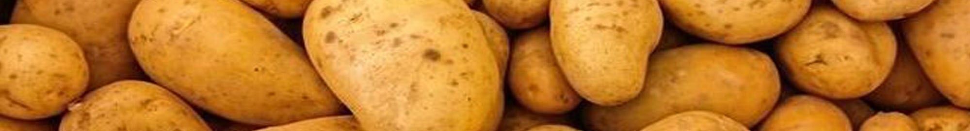 Cortador de patatas profesional