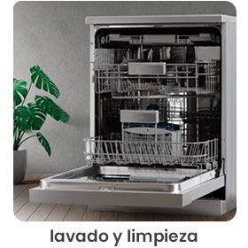 lavado y limpieza